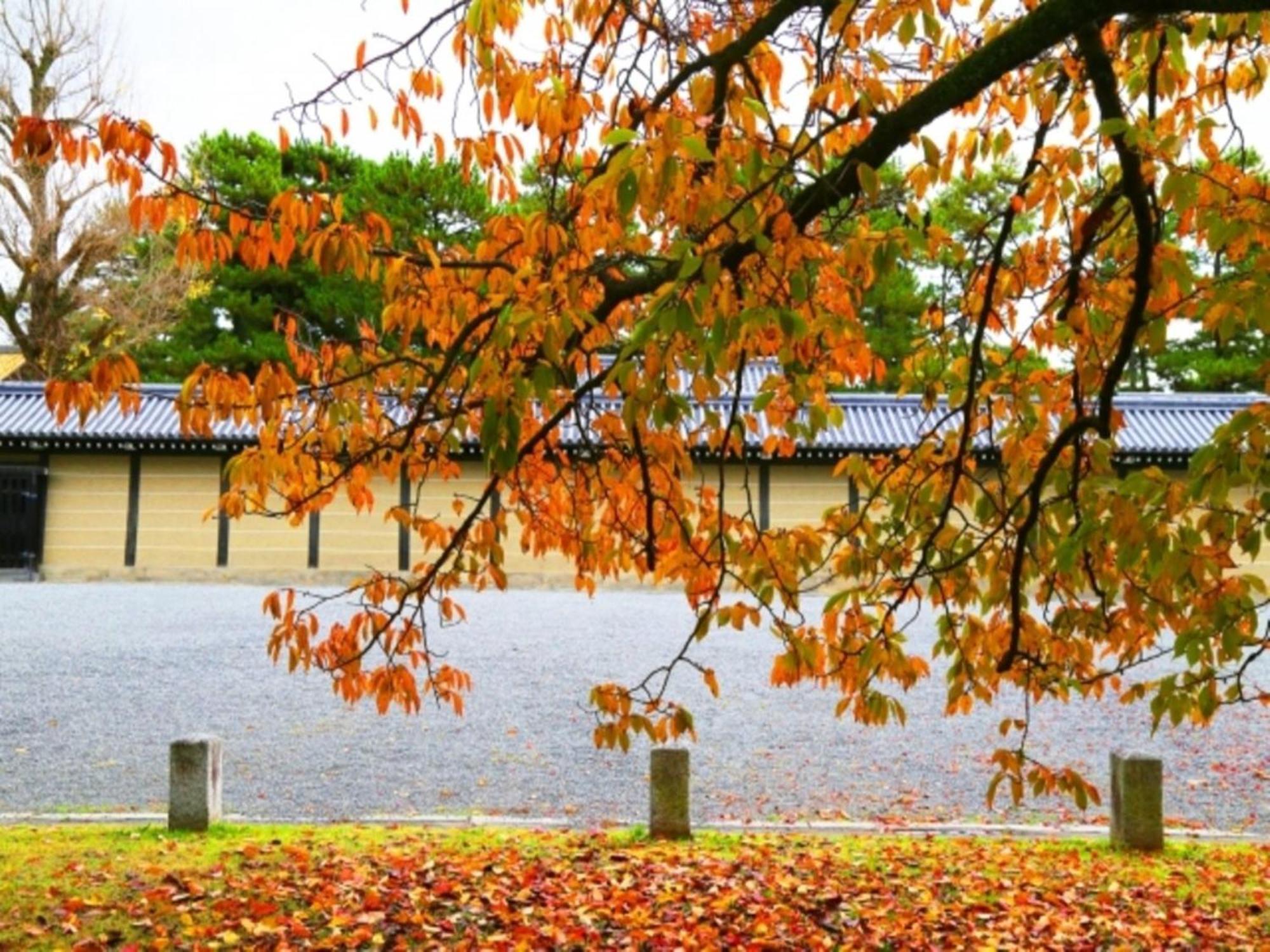 La'Gent Hotel Kyoto Nijo Eksteriør bilde