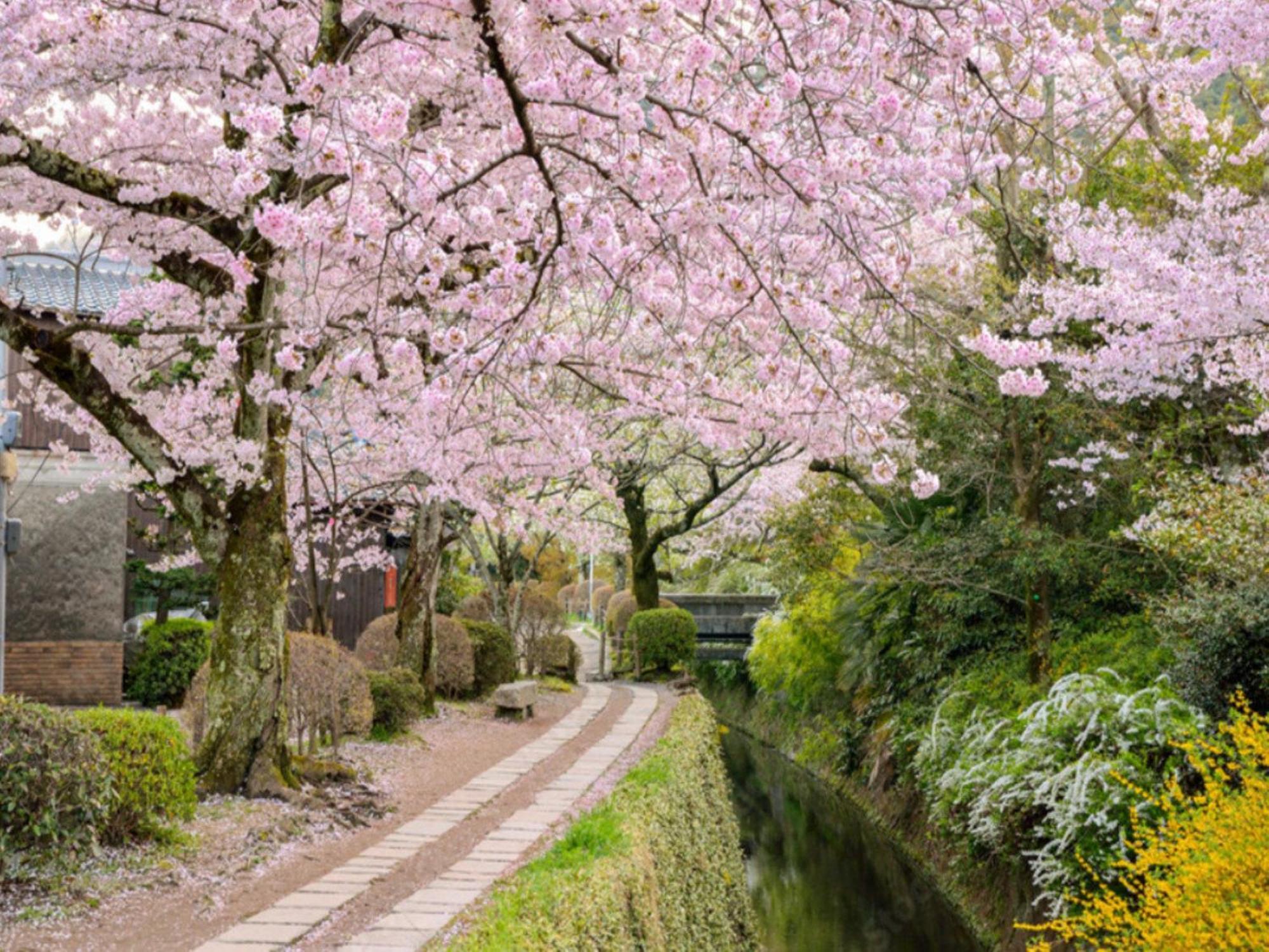 La'Gent Hotel Kyoto Nijo Eksteriør bilde